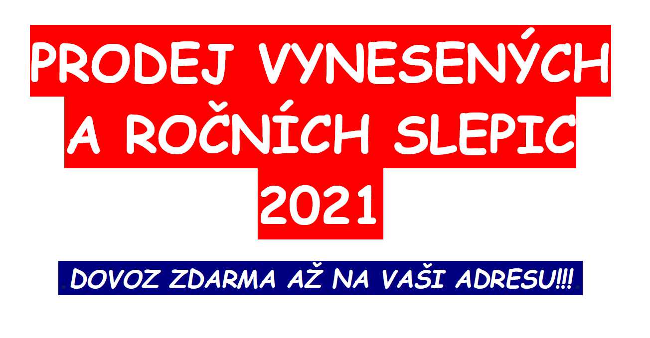 Vynesené slepice.jpg